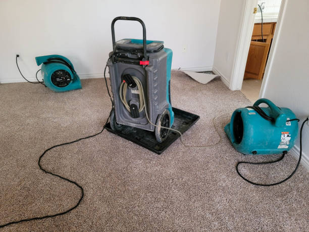 Best Emergency water damage restoration  in Cleveland, AL