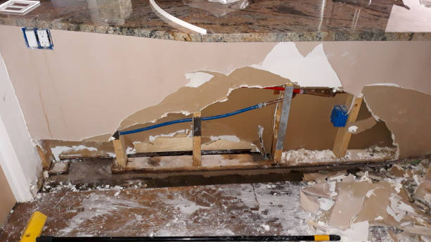 Best Water damage restoration near me  in Cleveland, AL