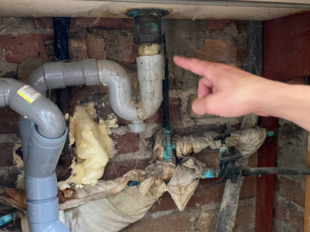Best 24/7 water damage repair  in Cleveland, AL