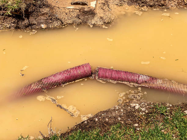 , AL Water damage restoration Company